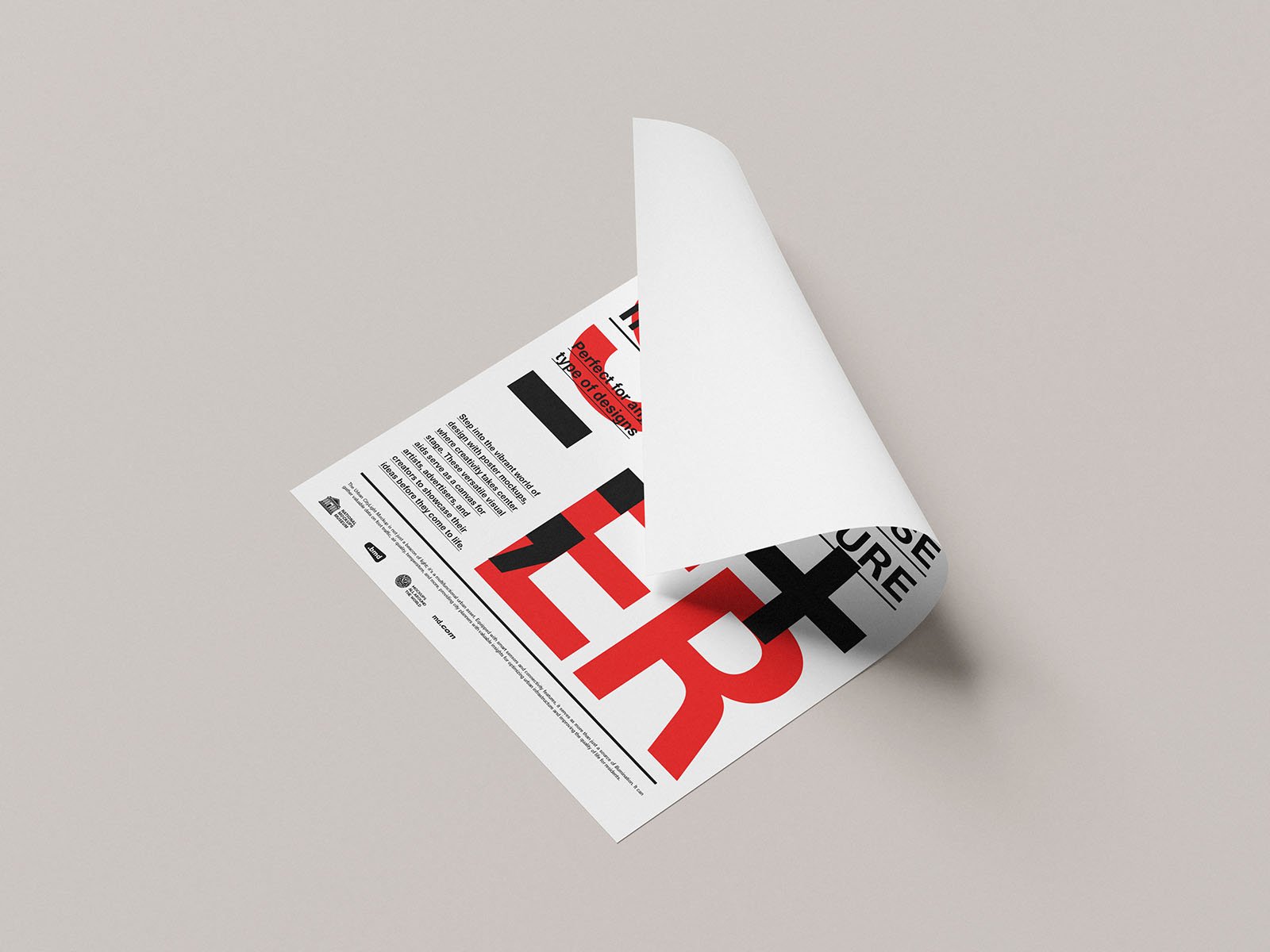 Paper Prints - Image 2