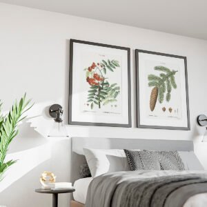 Framed Prints